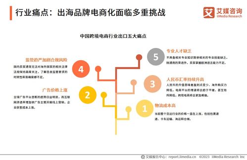 2023年中國(guó)品牌電商服務(wù)行業(yè)深度解析 信息咨詢(xún)服務(wù)的價(jià)值重塑與增長(zhǎng)路徑